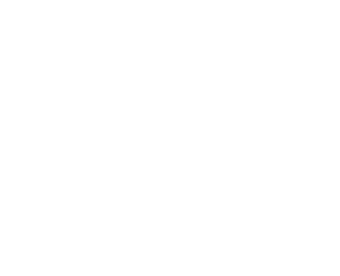 Bravi Piscines