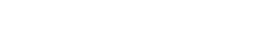Tècnic